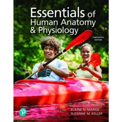 Seeley's anatomy & physiology 13th edition